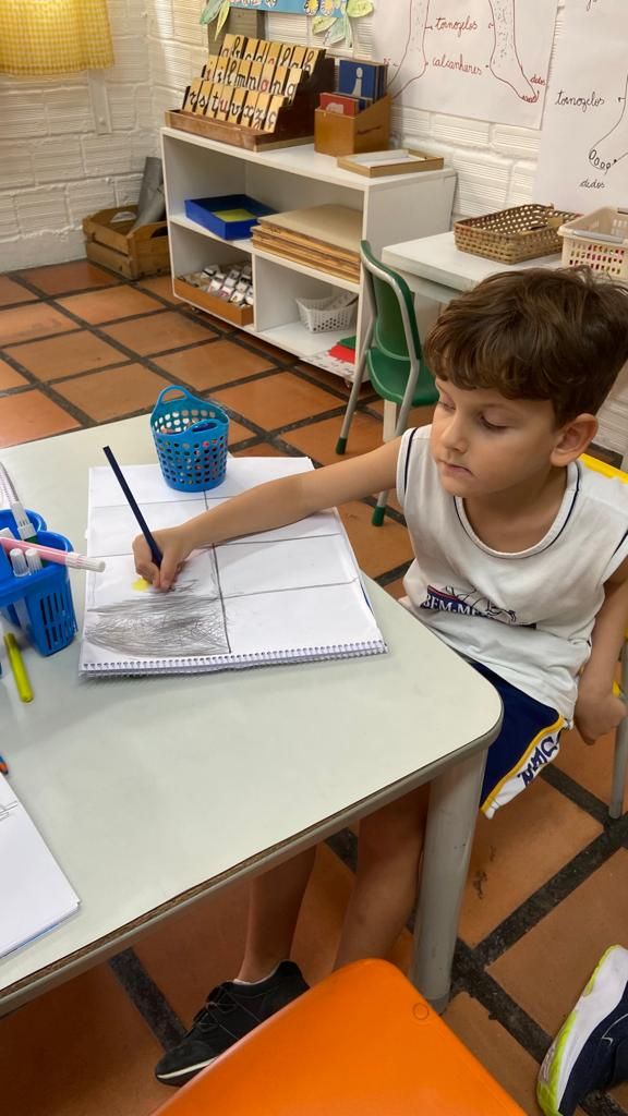 Imagem da notícia 5