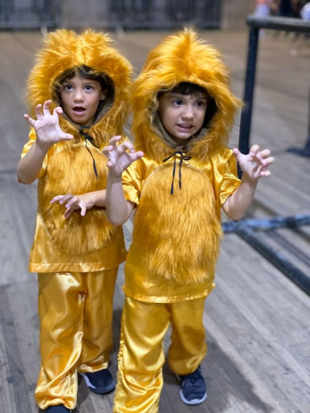 Imagem da notícia 5