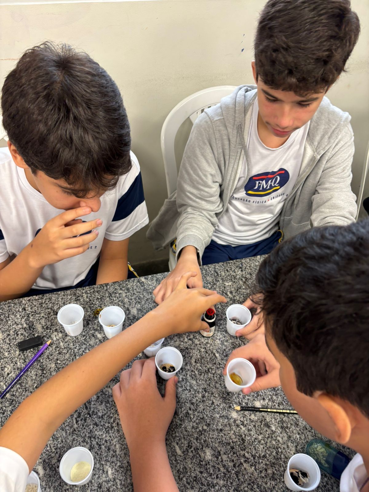 Imagem da notícia 10