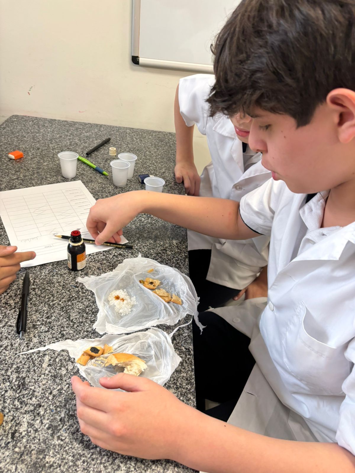 Imagem da notícia 2