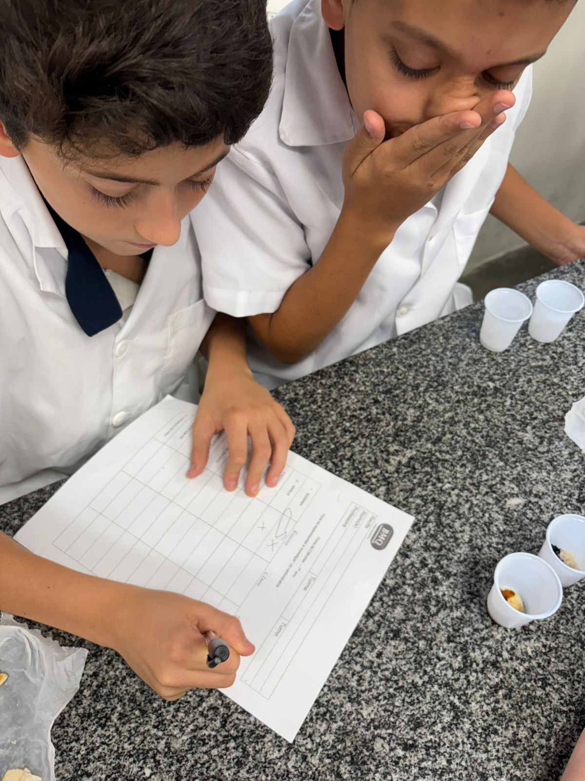 Imagem da notícia 3