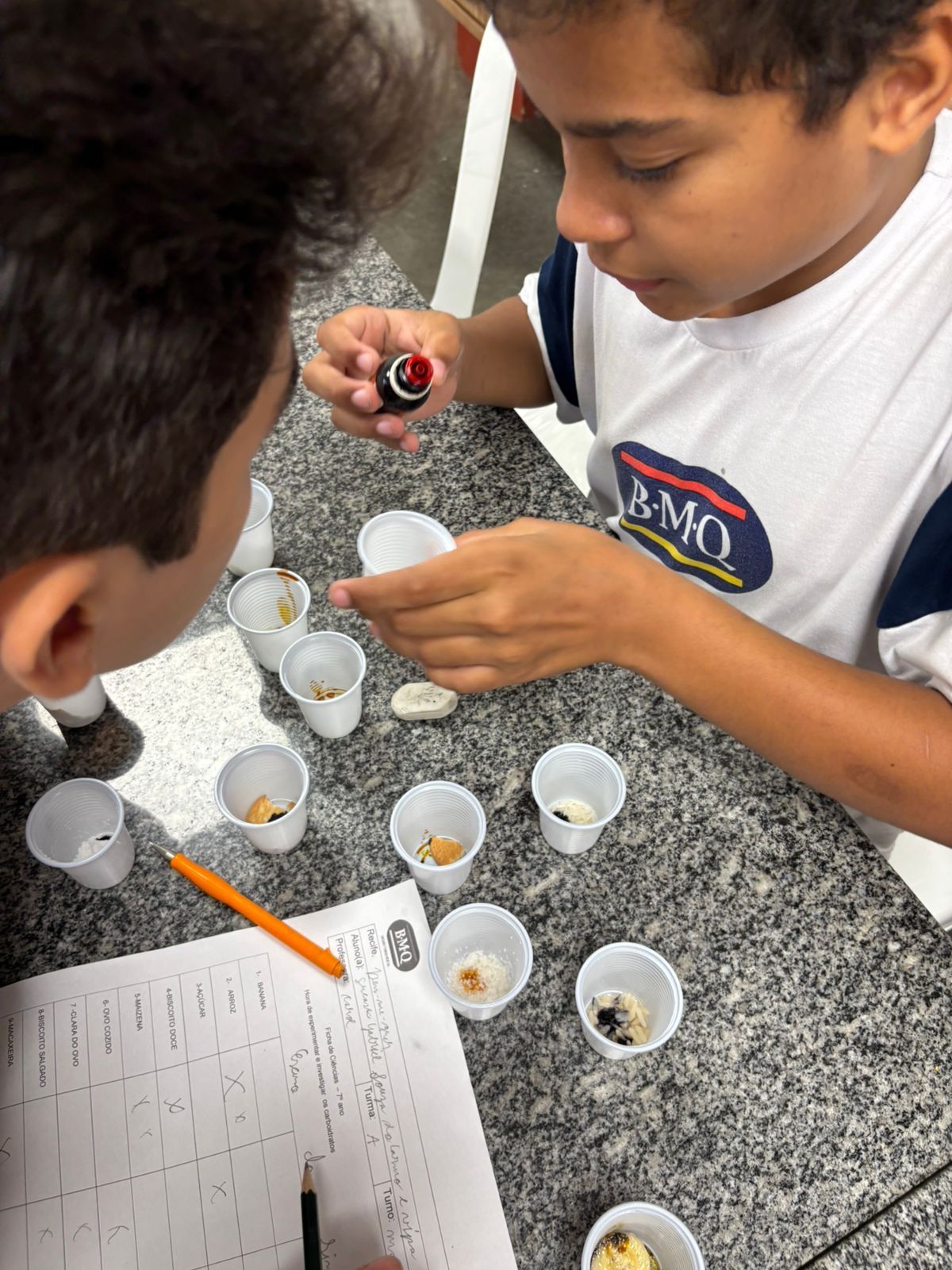 Imagem da notícia 5