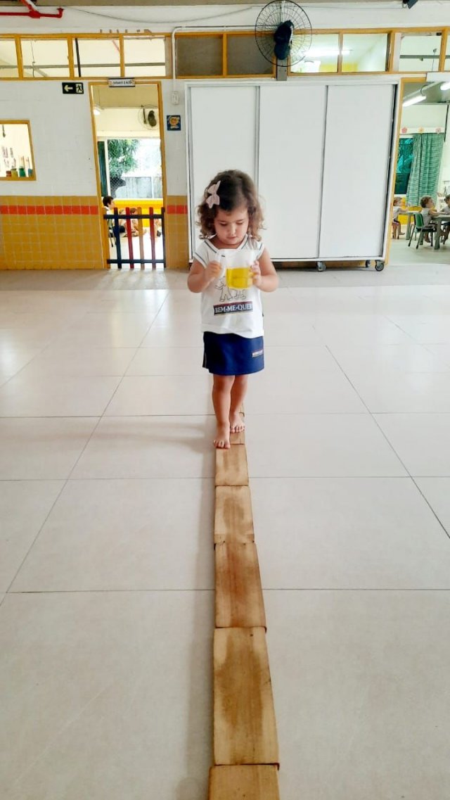 Imagem da notícia 5