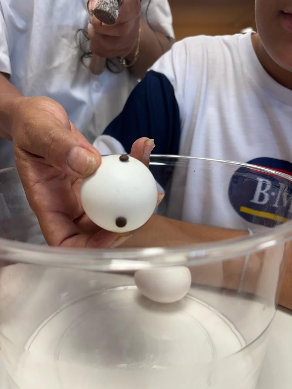 Imagem da notícia 3