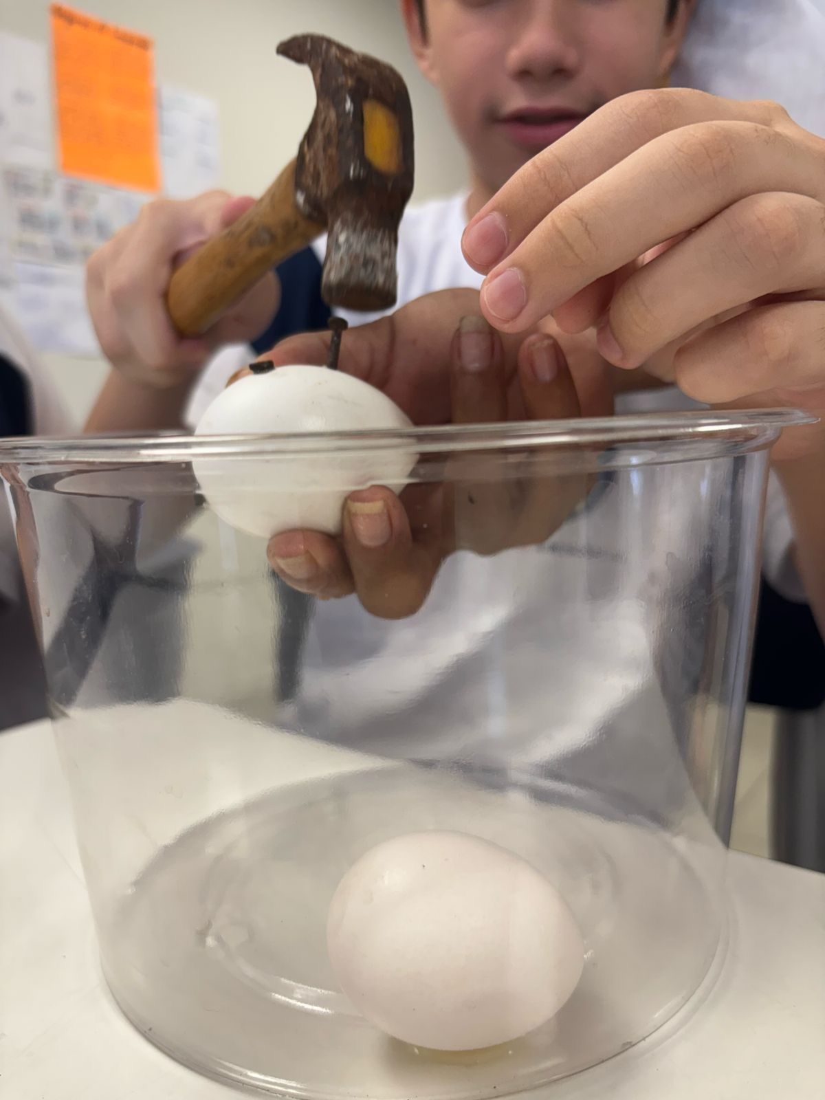 Imagem da notícia 4