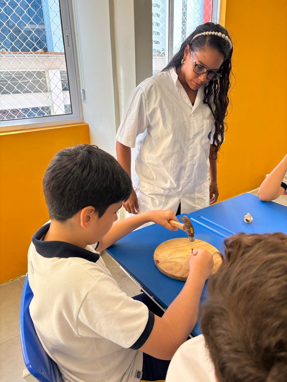 Imagem da notícia 5