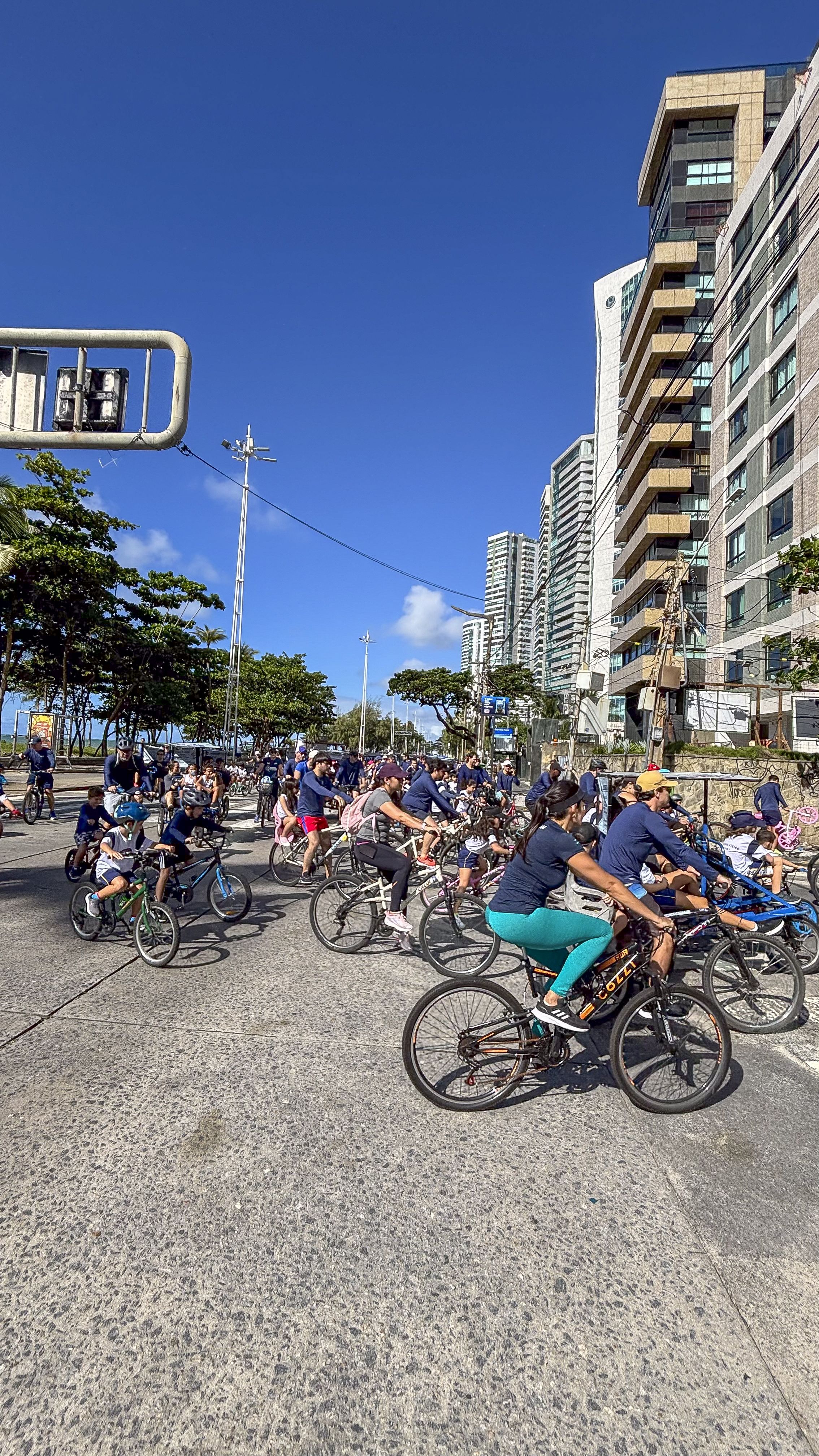 Imagem da notícia 7