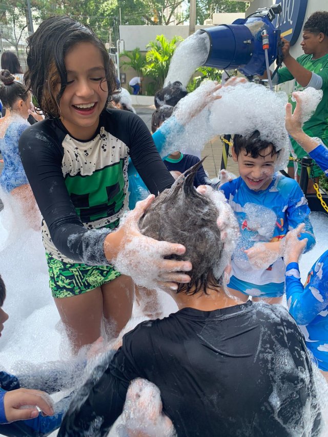 Imagem da notícia 5