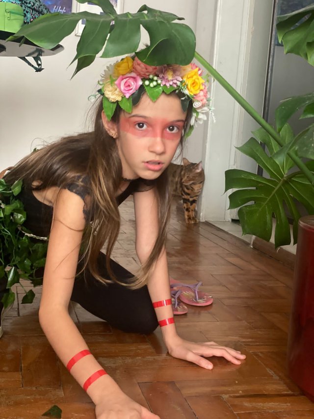 Imagem da notícia 3