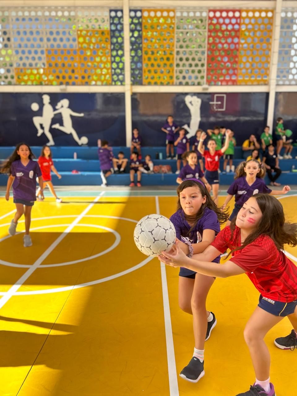 Imagem da notícia 10