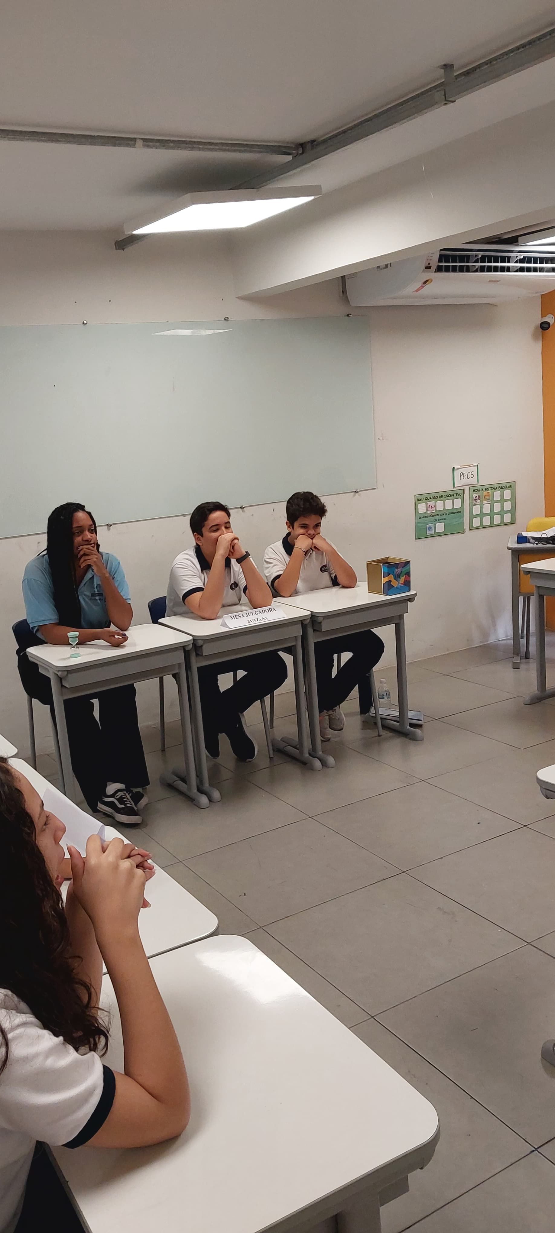 Imagem da notícia 4