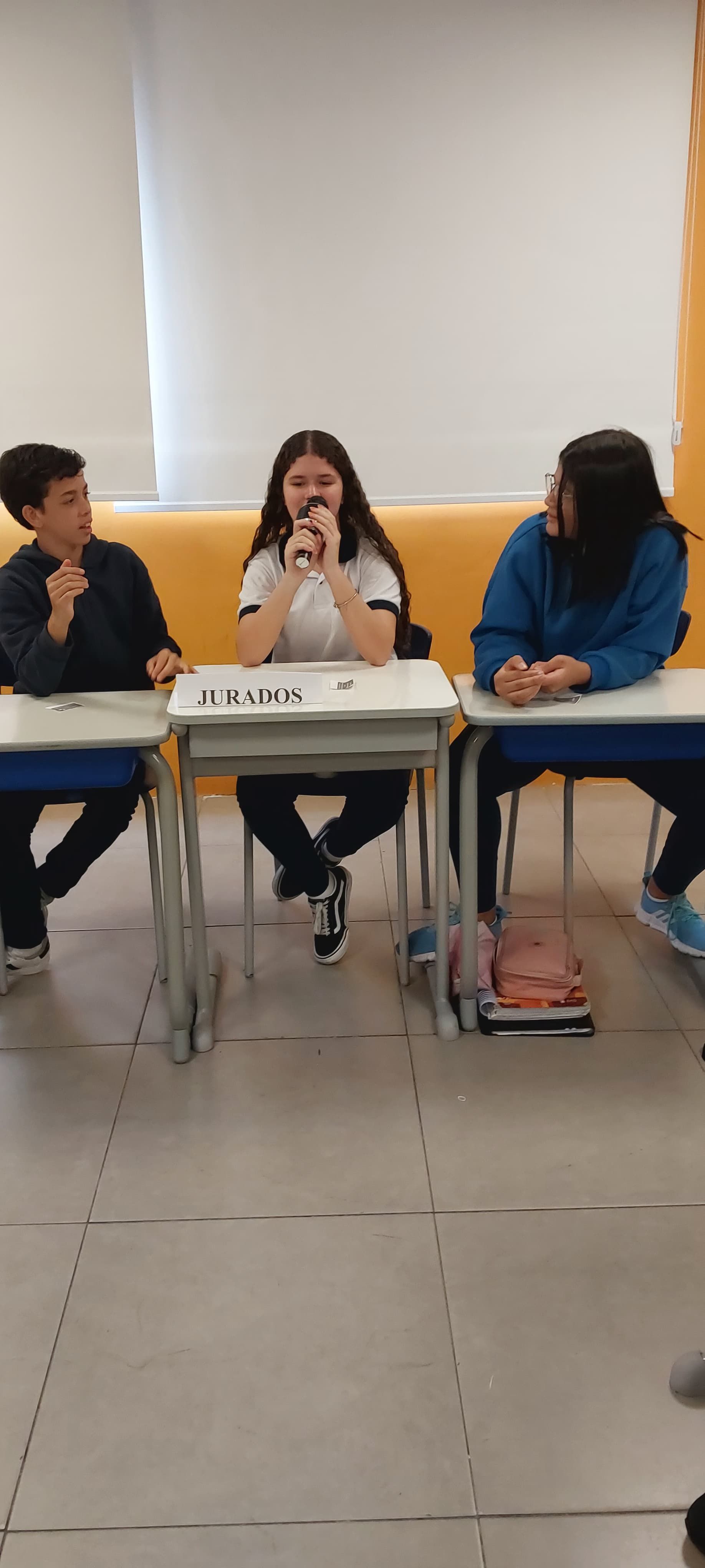 Imagem da notícia 5