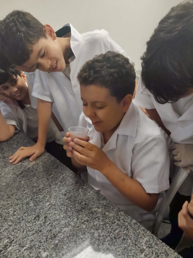 Imagem da notícia 4